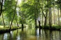 marais poitevin coulon 32 - copie